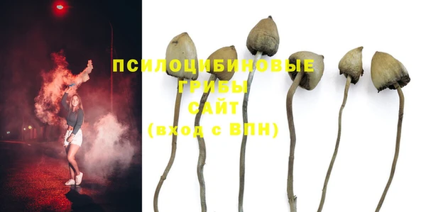 соль ск Михайловка