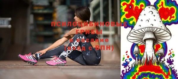 дмт Надым