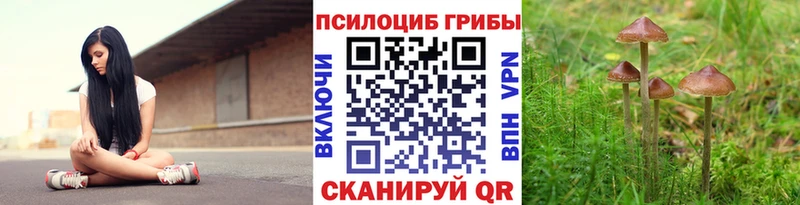 Галлюциногенные грибы ЛСД  Злынка 