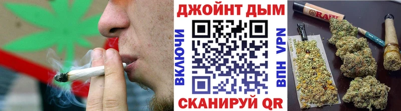 МЕГА tor  Злынка  Шишки марихуана ГИДРОПОН 