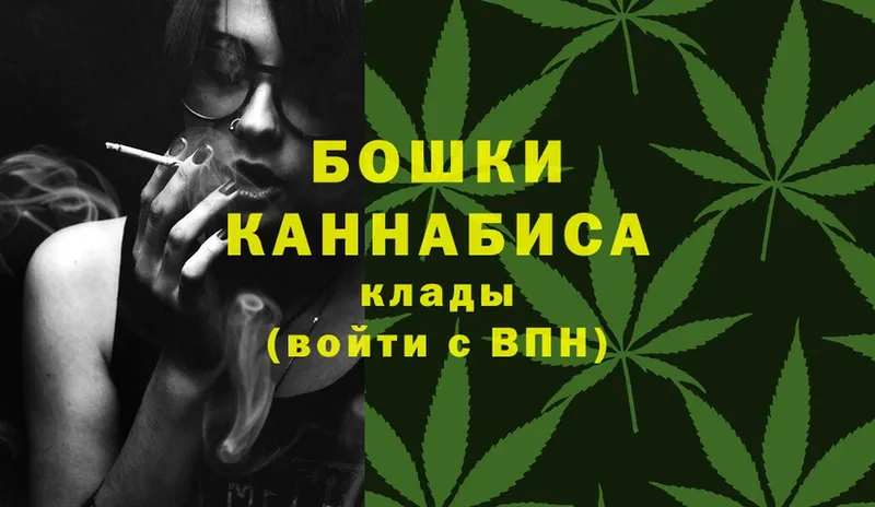 где найти наркотики  Злынка  Бошки Шишки OG Kush 